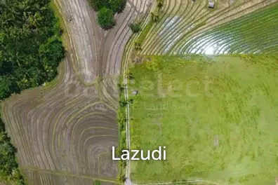 One Hectare Land With an Incredible View
