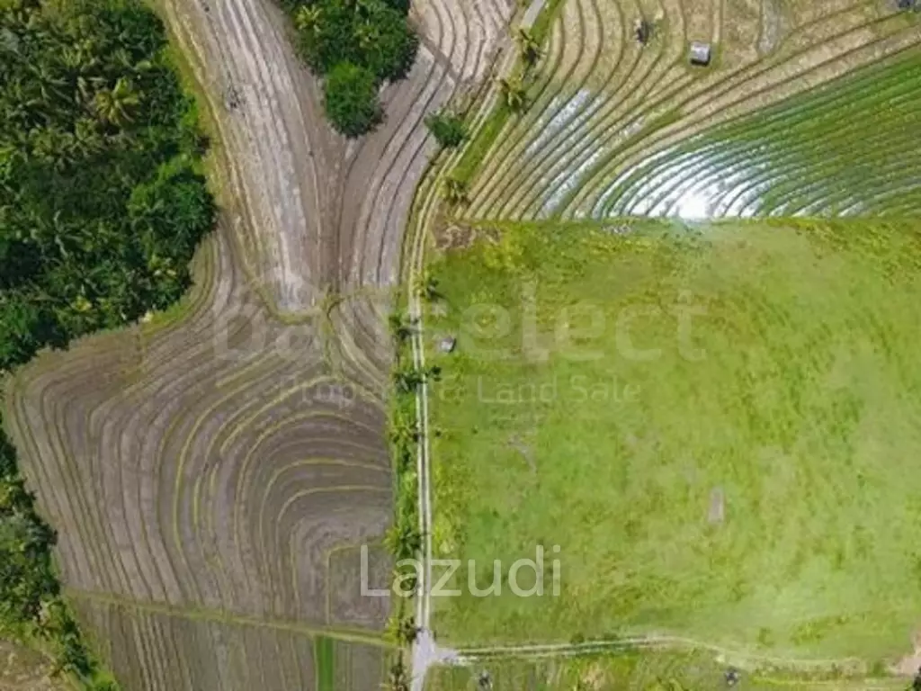 One Hectare Land With an Incredible View