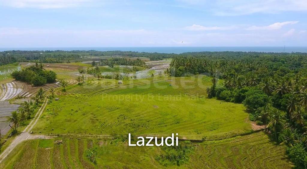 One Hectare Land With an Incredible View