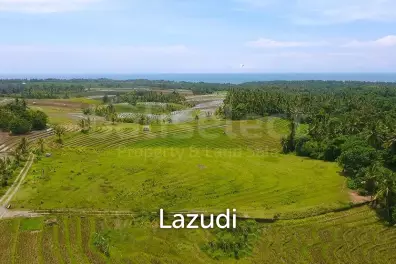 One Hectare Land With an Incredible View