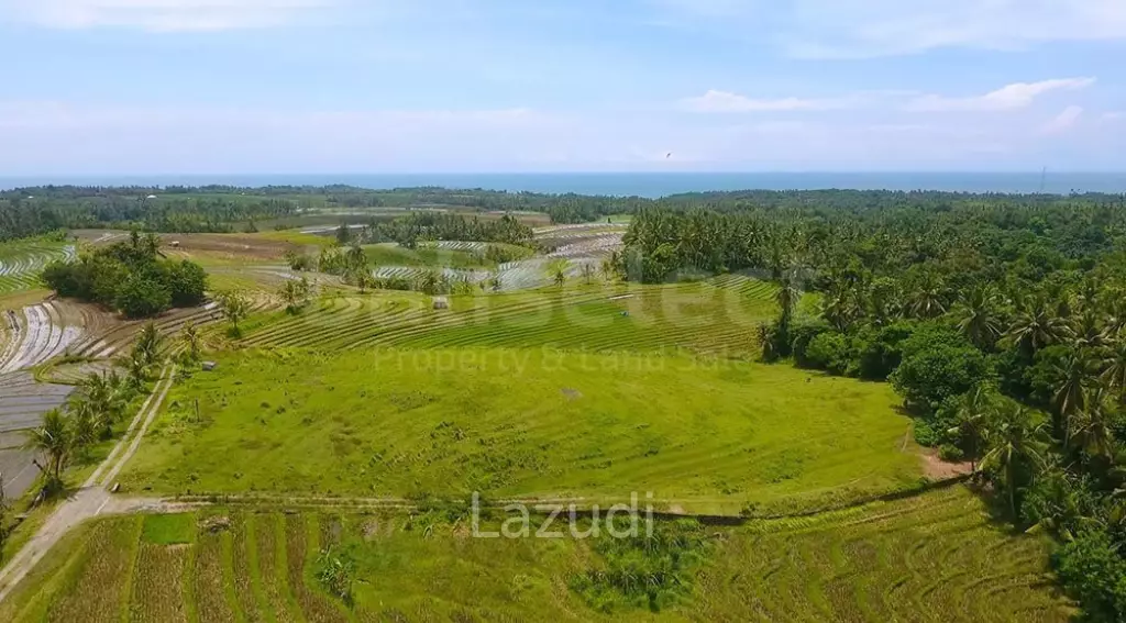 One Hectare Land With an Incredible View