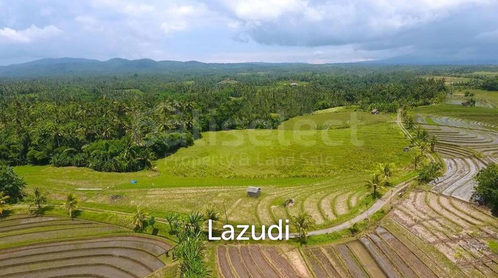 One Hectare Land With an Incredible View
