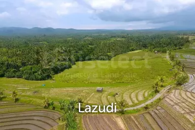 One Hectare Land With an Incredible View