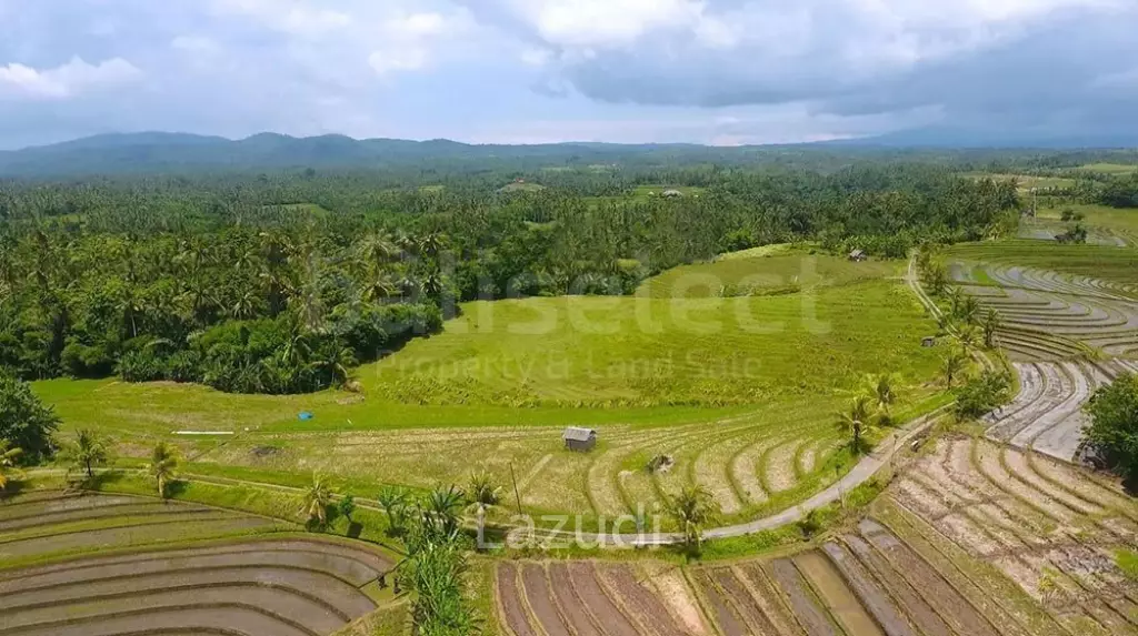 One Hectare Land With an Incredible View