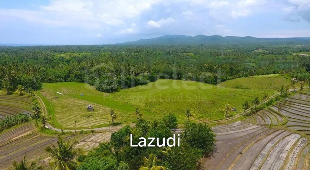 One Hectare Land With an Incredible View