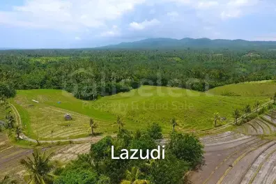 One Hectare Land With an Incredible View