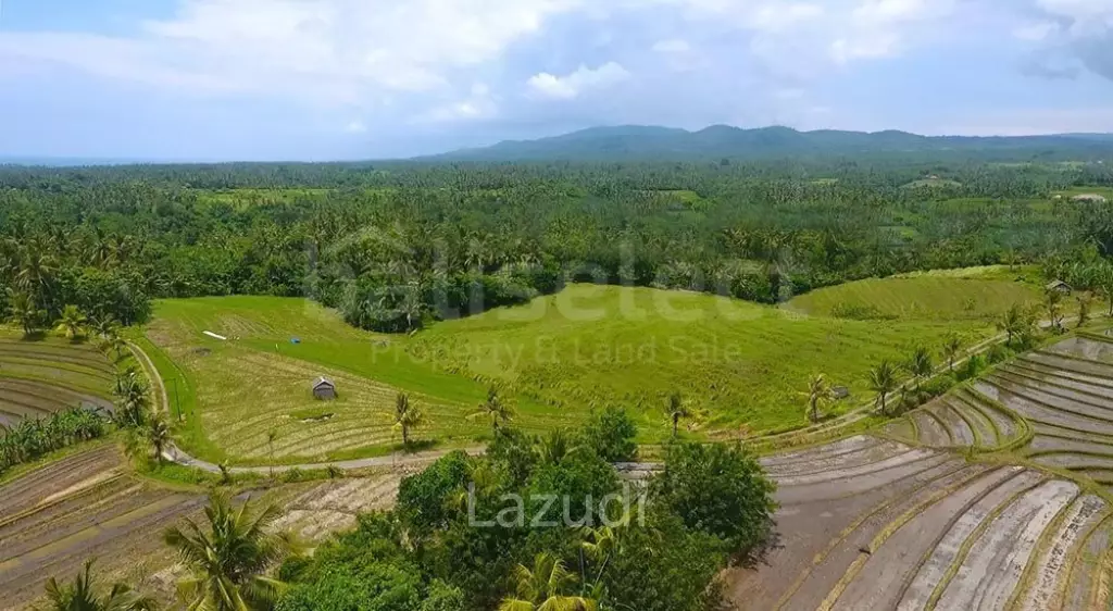 One Hectare Land With an Incredible View