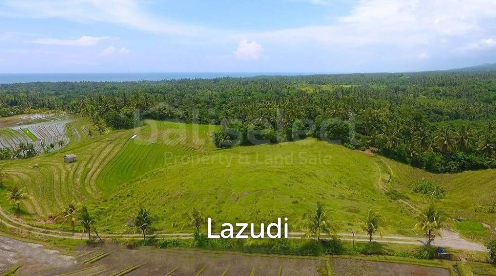 One Hectare Land With an Incredible View