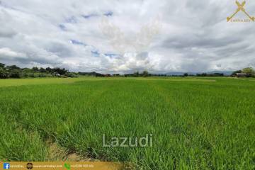 Land with Beautiful Rice Fields and Nice View for Sale