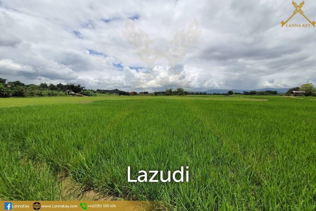 Land with Beautiful Rice Fields and Nice View for Sale