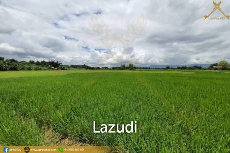 Land with Beautiful Rice Fields and Nice View for Sale