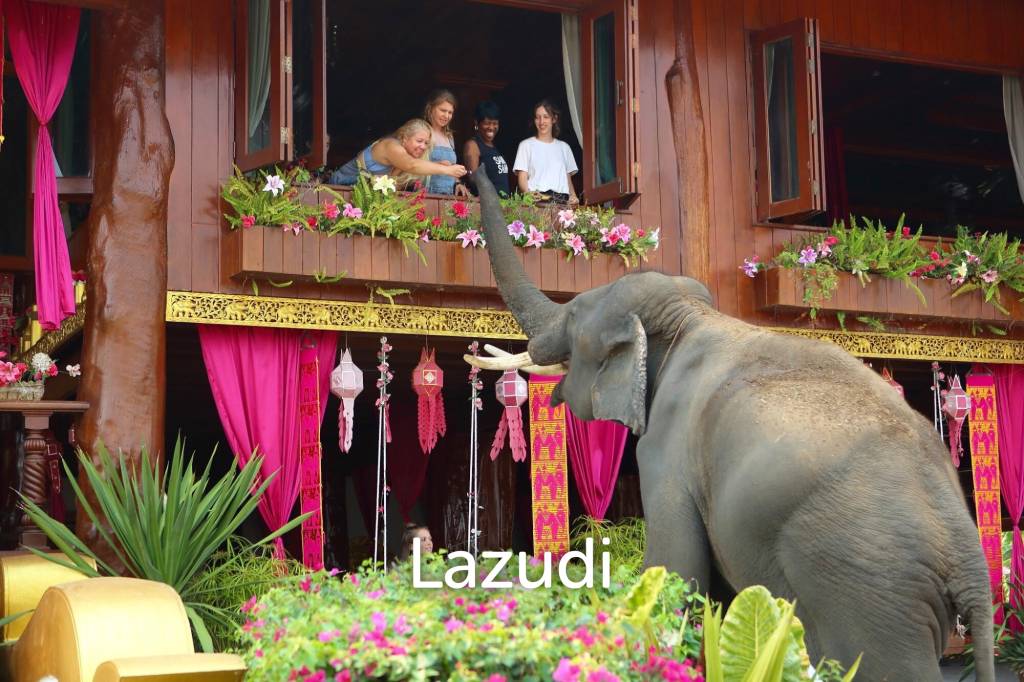 6 Bedrooms Golden Teak Mansion For Sale in Mae Taeng