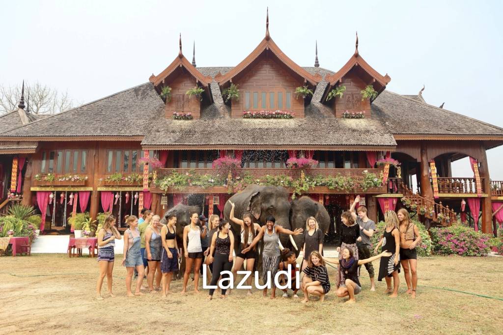 6 Bedrooms Golden Teak Mansion For Sale in Mae Taeng