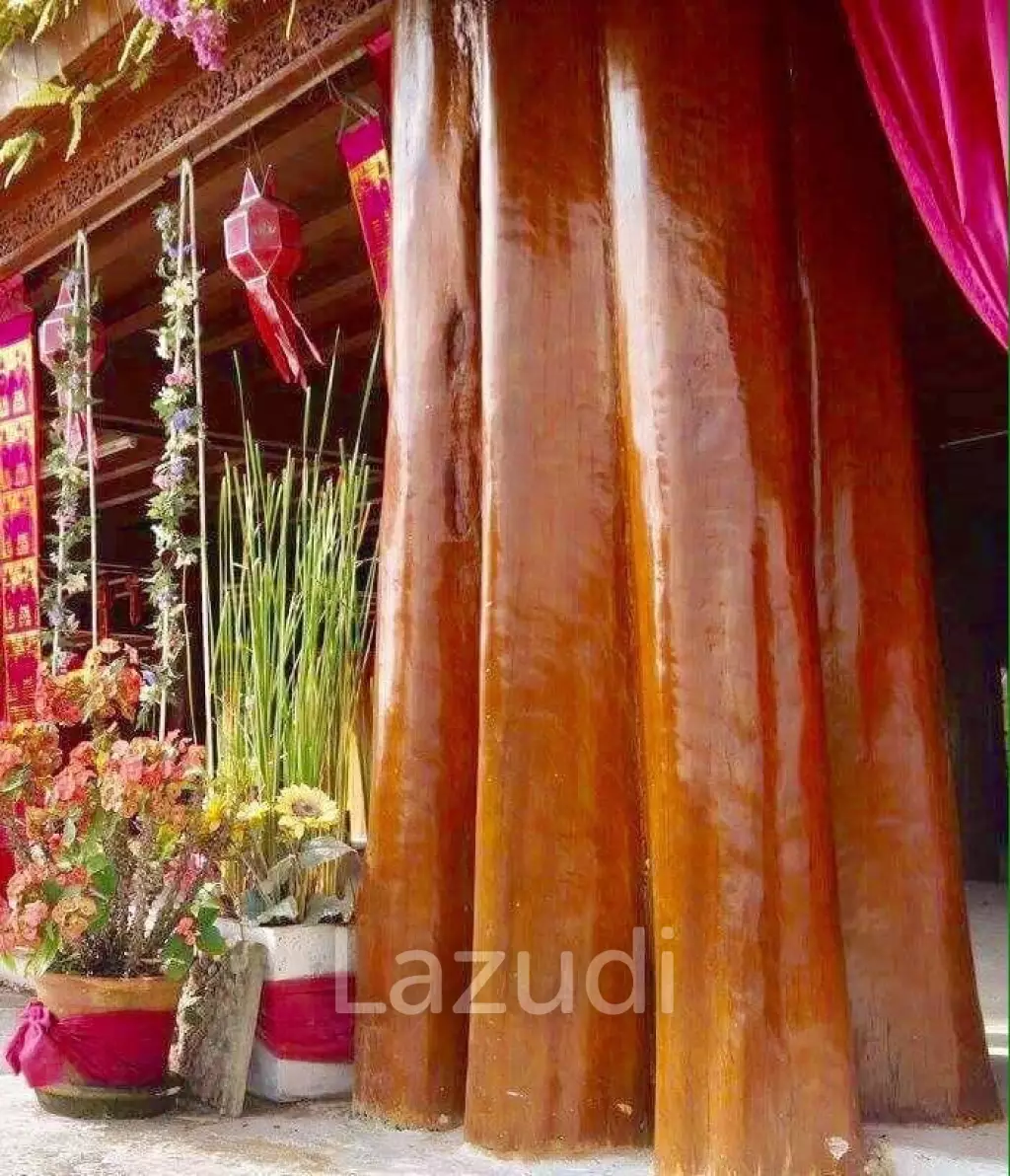 6 Bedrooms Golden Teak Mansion For Sale in Mae Taeng