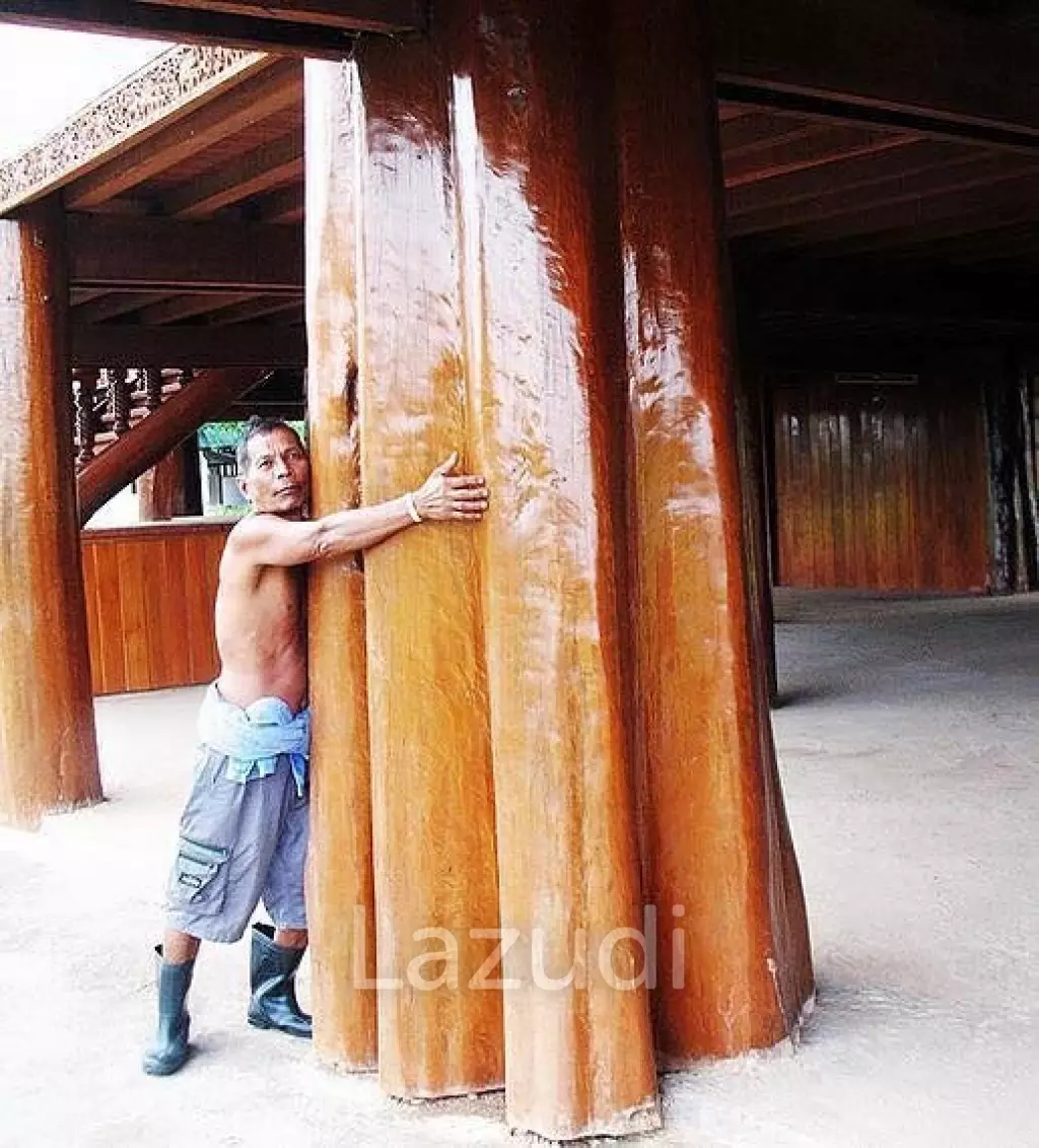 6 Bedrooms Golden Teak Mansion For Sale in Mae Taeng