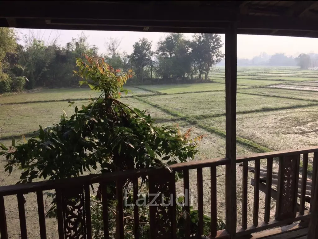 Beautiful single wooden house in Chiang Mai