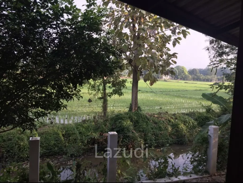 Beautiful single wooden house in Chiang Mai