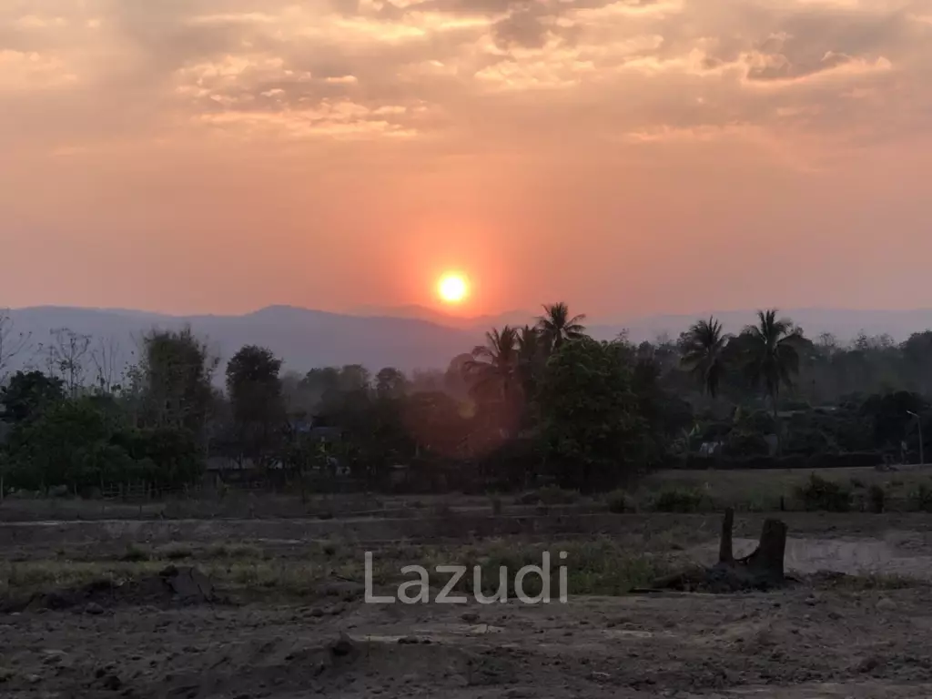 Land for sale in Mae Tang