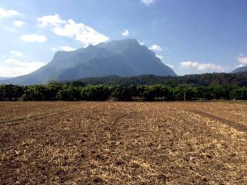 Stunning Mountain Views. Prime Location In Chiang Dao