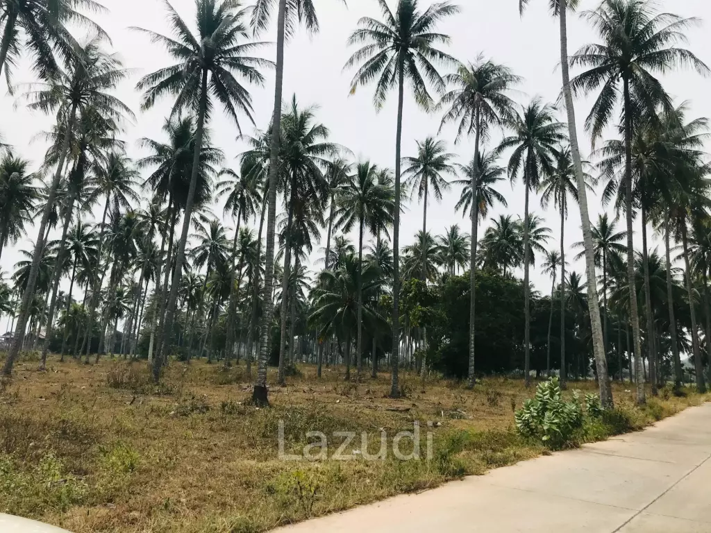 ที่ดินสวนมะพร้าว อ.ทับสะแก