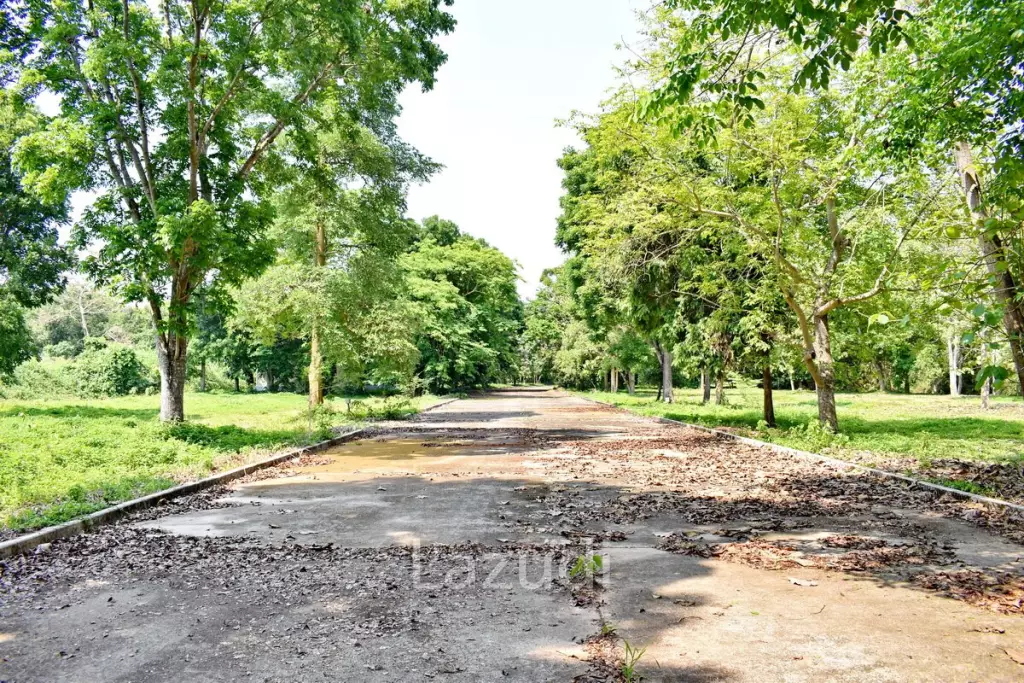 LB68 Large plot of land suitable for investment or housing project, Maekorn, Chiangrai.