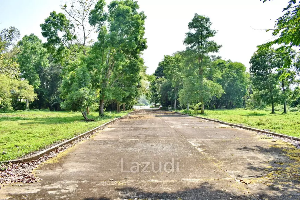 LB68 Large plot of land suitable for investment or housing project, Maekorn, Chiangrai.