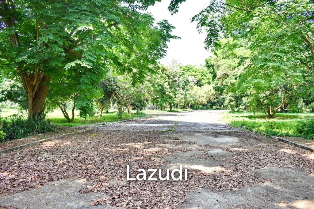 LB68 Large plot of land suitable for investment or housing project, Maekorn, Chiangrai.