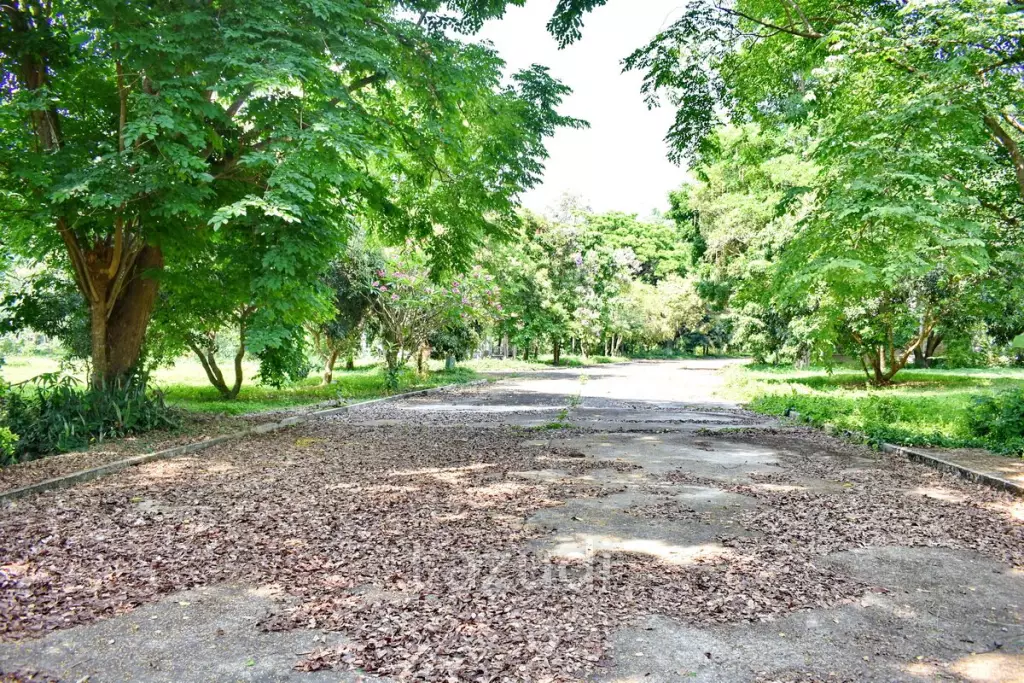 LB68 Large plot of land suitable for investment or housing project, Maekorn, Chiangrai.