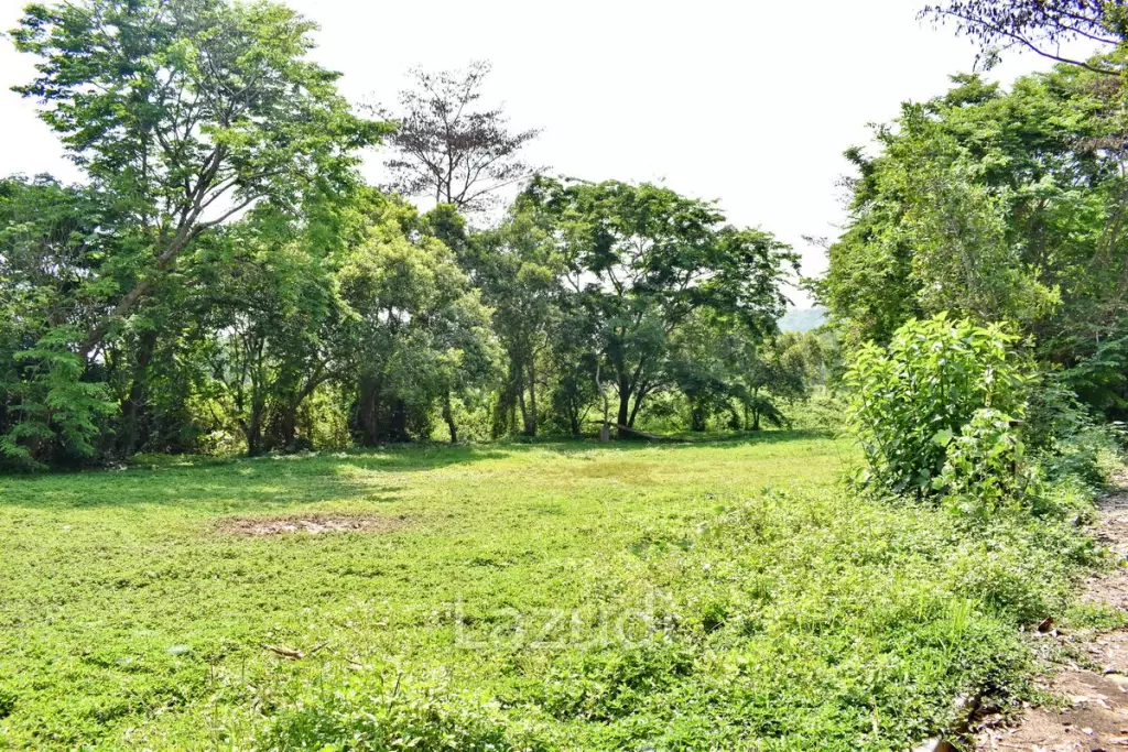 LB68 Large plot of land suitable for investment or housing project, Maekorn, Chiangrai.