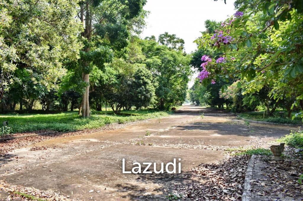LB68 Large plot of land suitable for investment or housing project, Maekorn, Chiangrai.