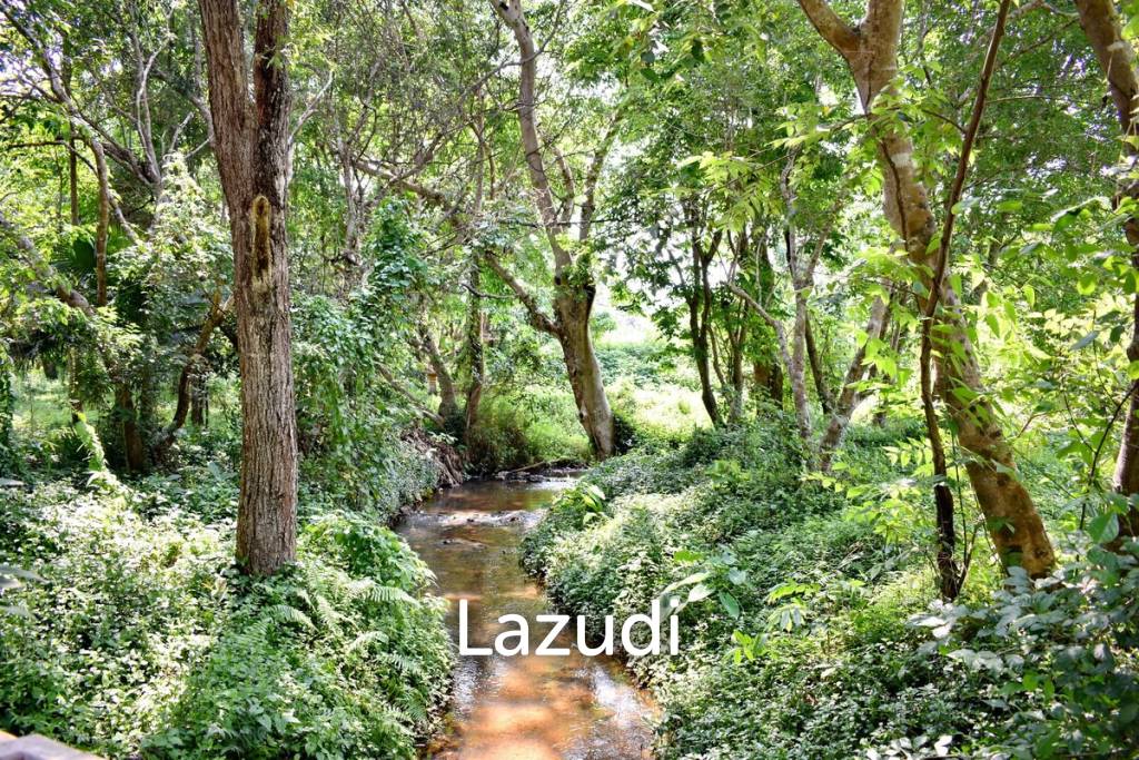 LB68 Large plot of land suitable for investment or housing project, Maekorn, Chiangrai.