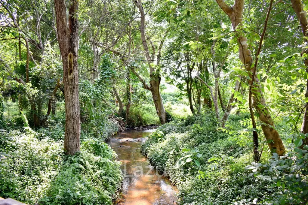 LB68 Large plot of land suitable for investment or housing project, Maekorn, Chiangrai.