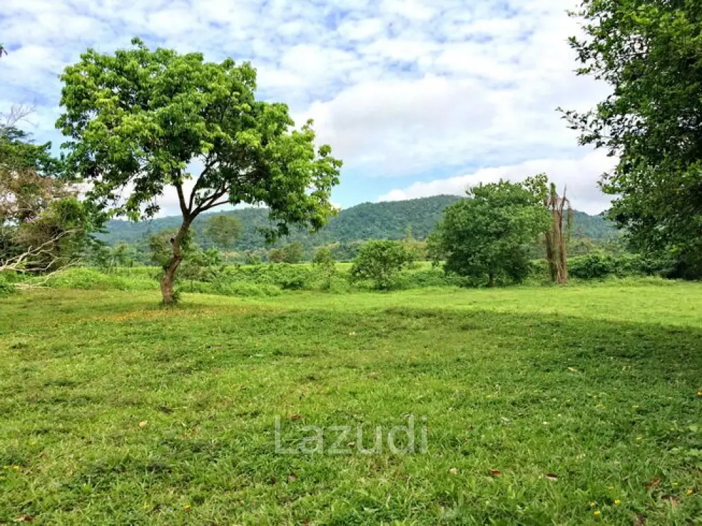 LB68 Large plot of land suitable for investment or housing project, Maekorn, Chiangrai.
