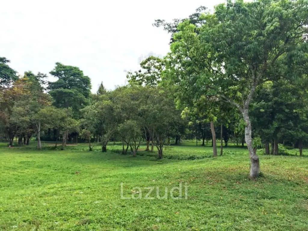 LB68 Large plot of land suitable for investment or housing project, Maekorn, Chiangrai.