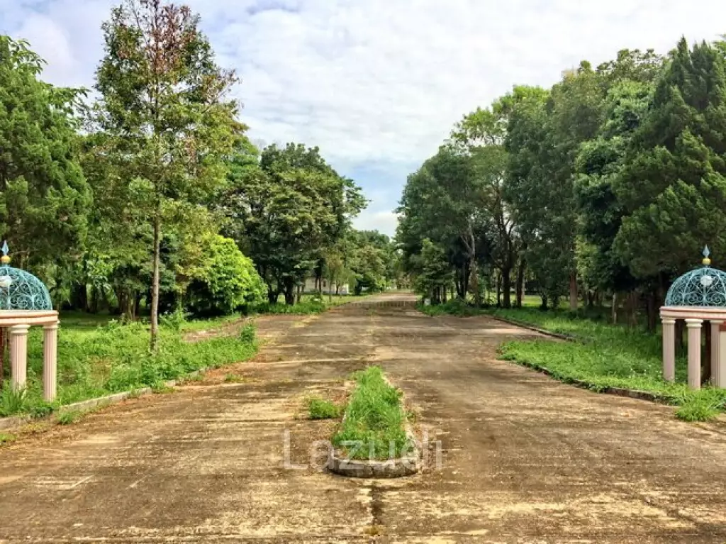 LB68 Large plot of land suitable for investment or housing project, Maekorn, Chiangrai.