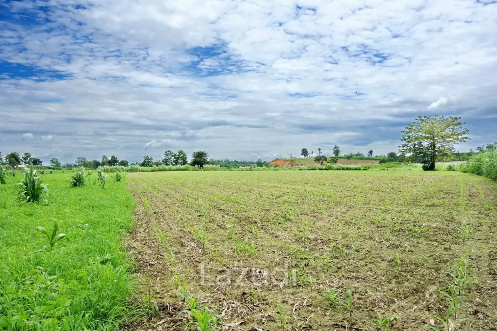 ขายที่ดินขนาดใหญ่ติดบายพาสเส้นก่อน ม. แม่ฟ้าหลวงตัดใหม่ไป เชียงแสน เชียงราย