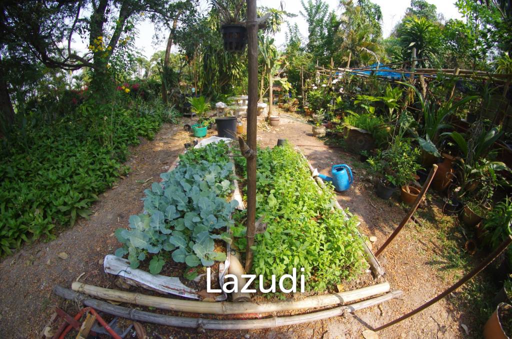 4 Bed 4 Bath House in Chiang Mai For Sale