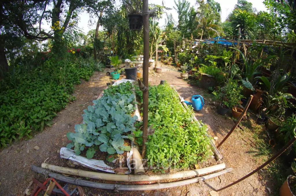4 Bed 4 Bath House in Chiang Mai For Sale