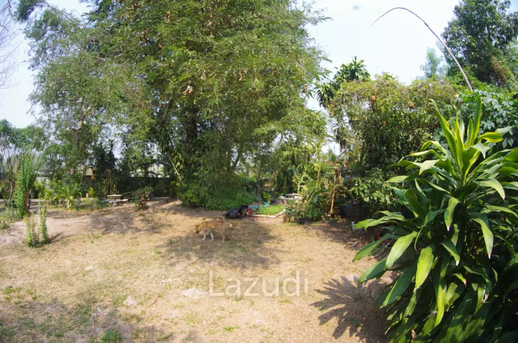 4 Bed 4 Bath House in Chiang Mai For Sale