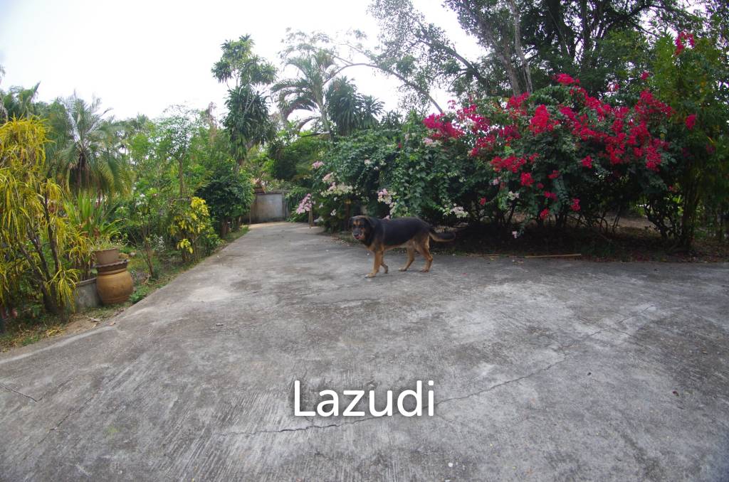 4 Bed 4 Bath House in Chiang Mai For Sale