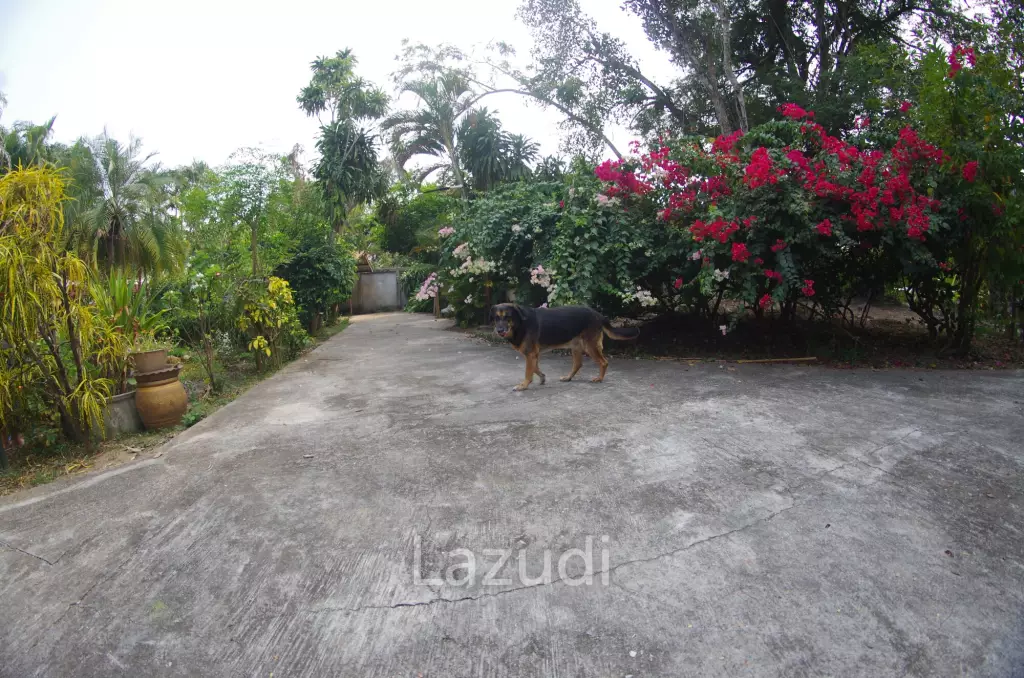 4 Bed 4 Bath House in Chiang Mai For Sale