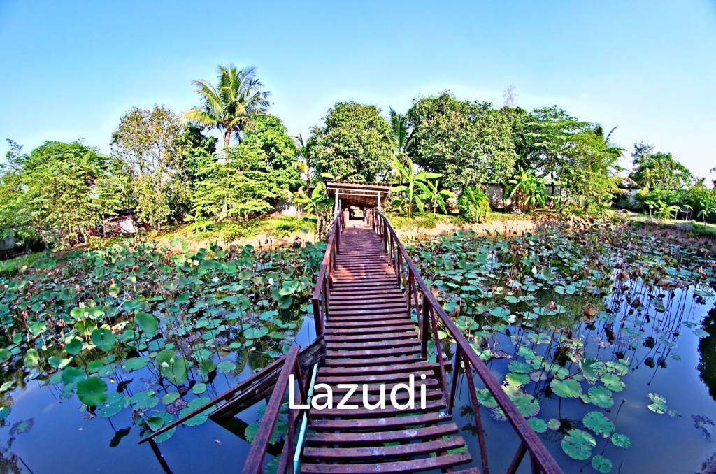 4 Bed 4 Bath House in Chiang Mai For Sale