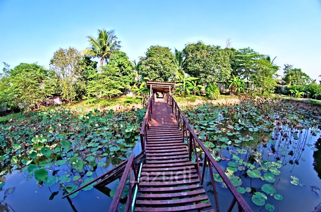 4 Bed 4 Bath House in Chiang Mai For Sale