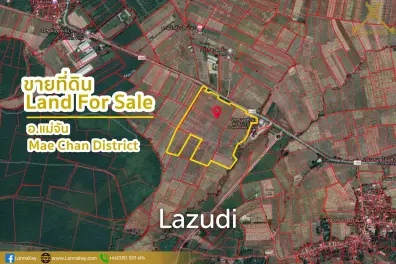 Nice Land with Rice Field for Sale