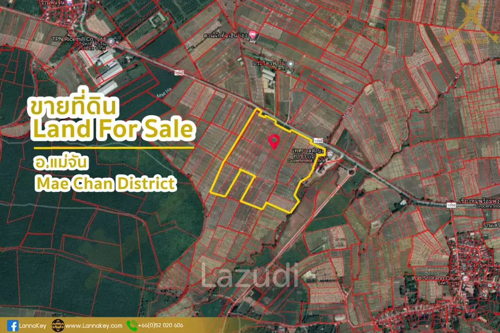 Nice Land with Rice Field for Sale