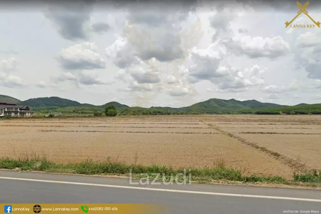 Nice Land with Rice Field for Sale