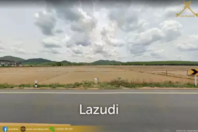 Nice Land with Rice Field for Sale