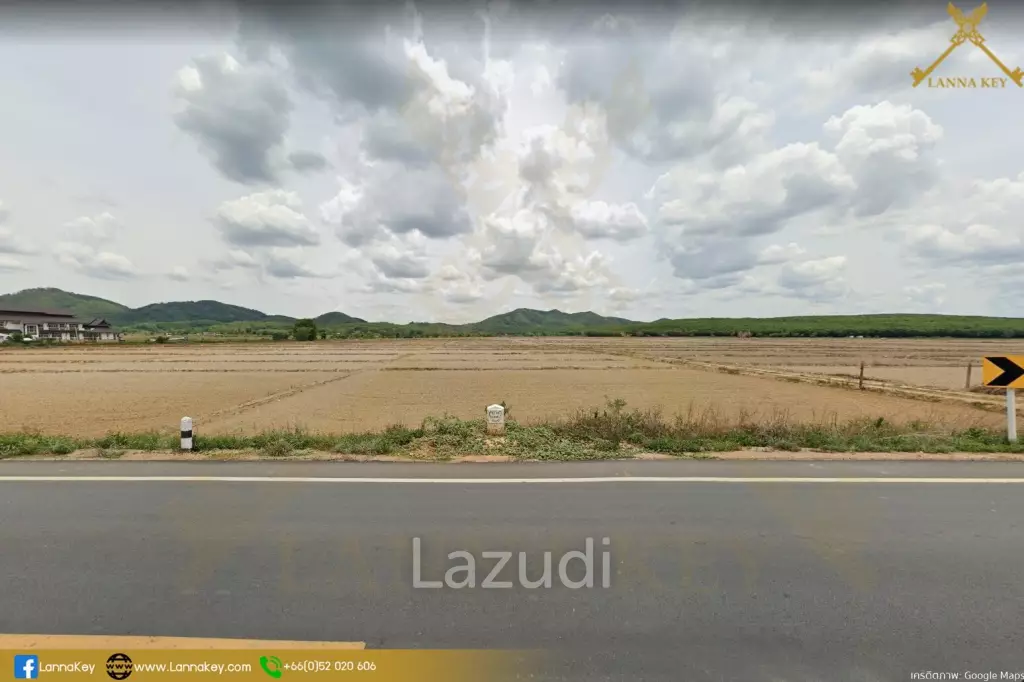 Nice Land with Rice Field for Sale
