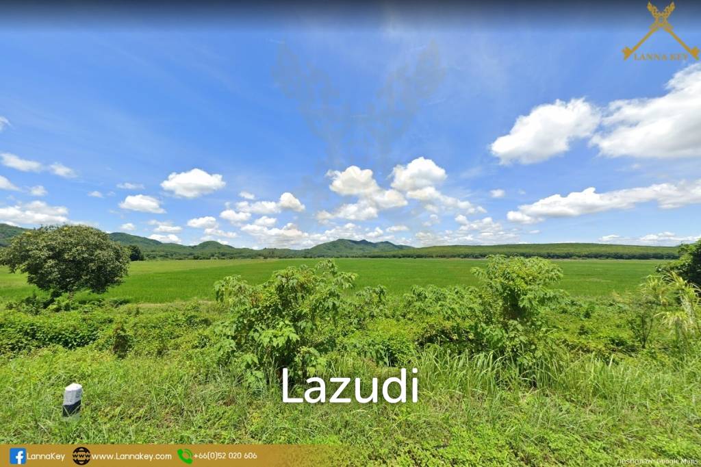 Nice Land with Rice Field for Sale