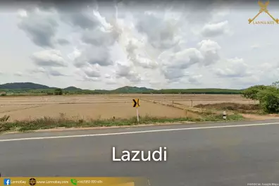 Nice Land with Rice Field for Sale